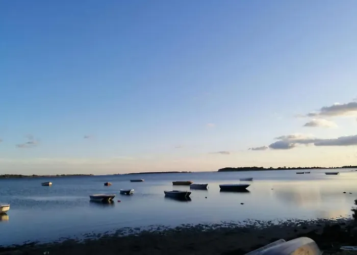 Da Giovy * 马尔萨拉